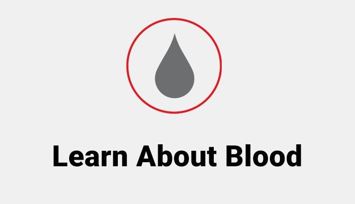 Learn about Blood blood drop icon